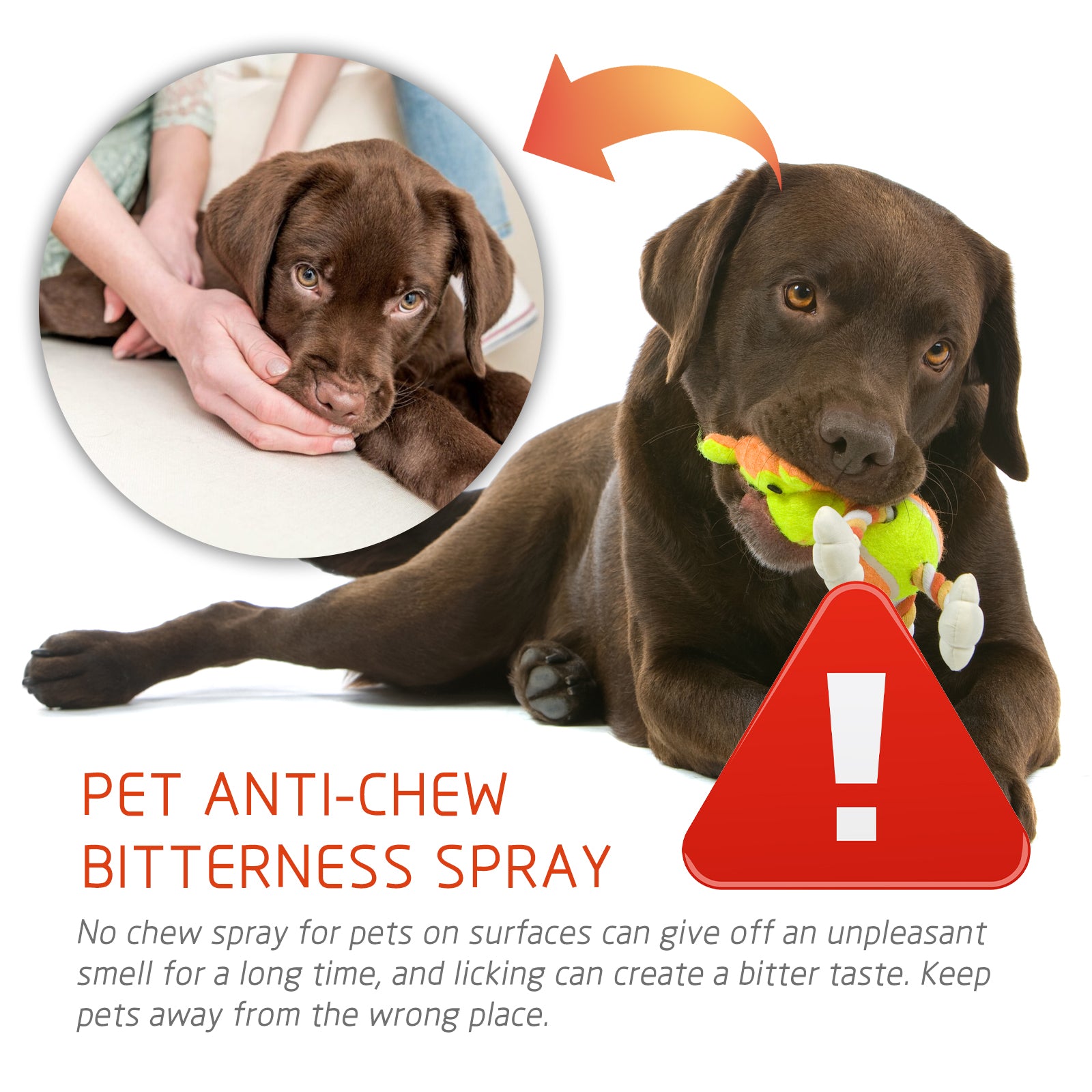 Pet Anti-Chew Spray Pet Behavior Modification Anti-Bite Scratching Spray For Cats And Dogs