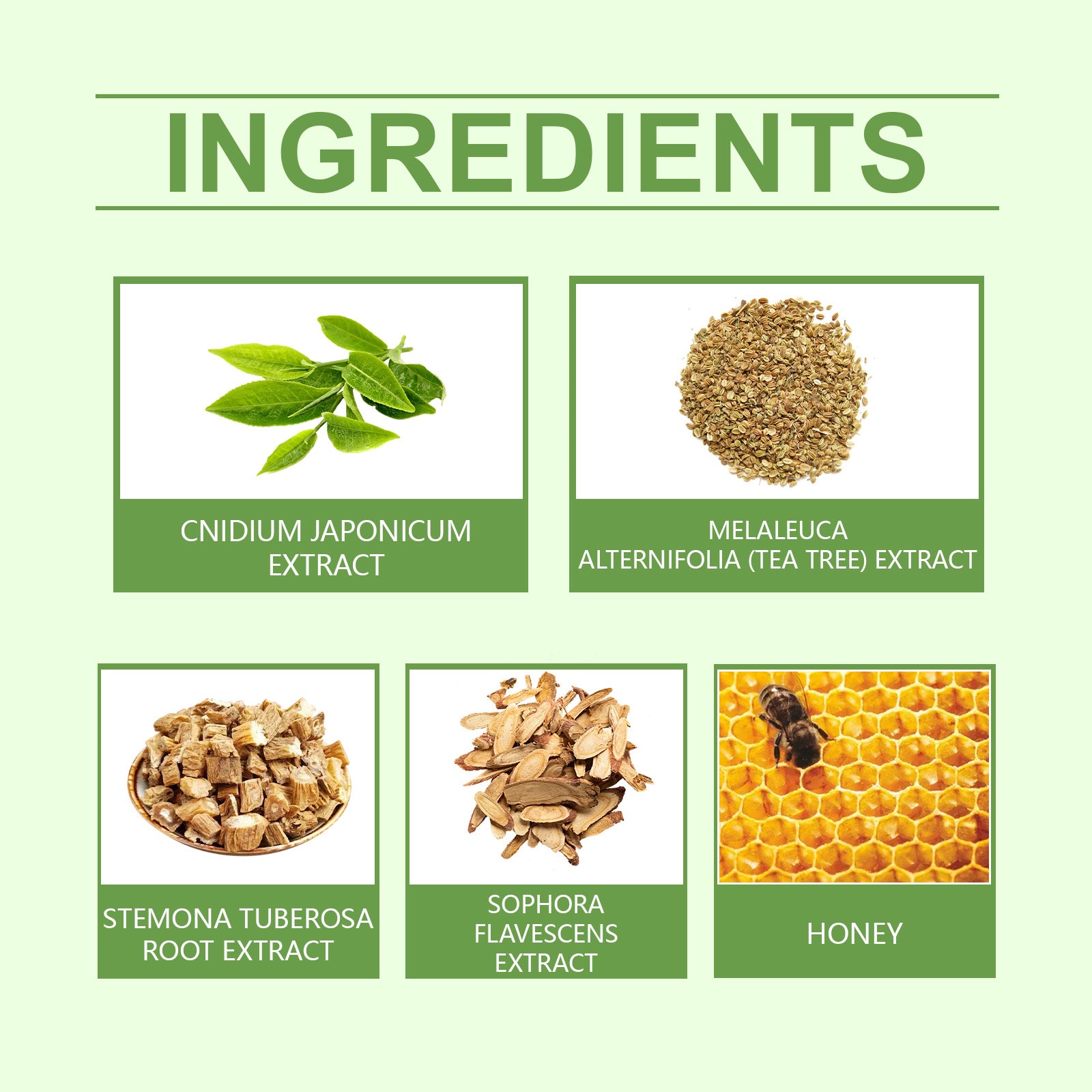 Honey Sugar Soothing Care Patch For The Elderly Body Care To Relieve Discomfort Sugar Soothing Care Patch