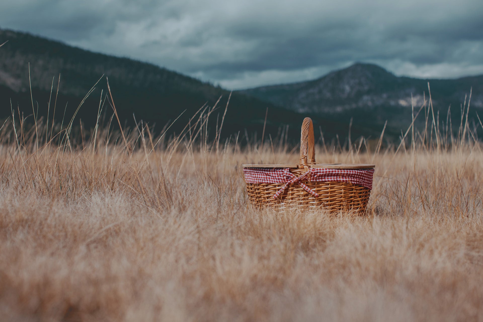 Country Picnic Basket