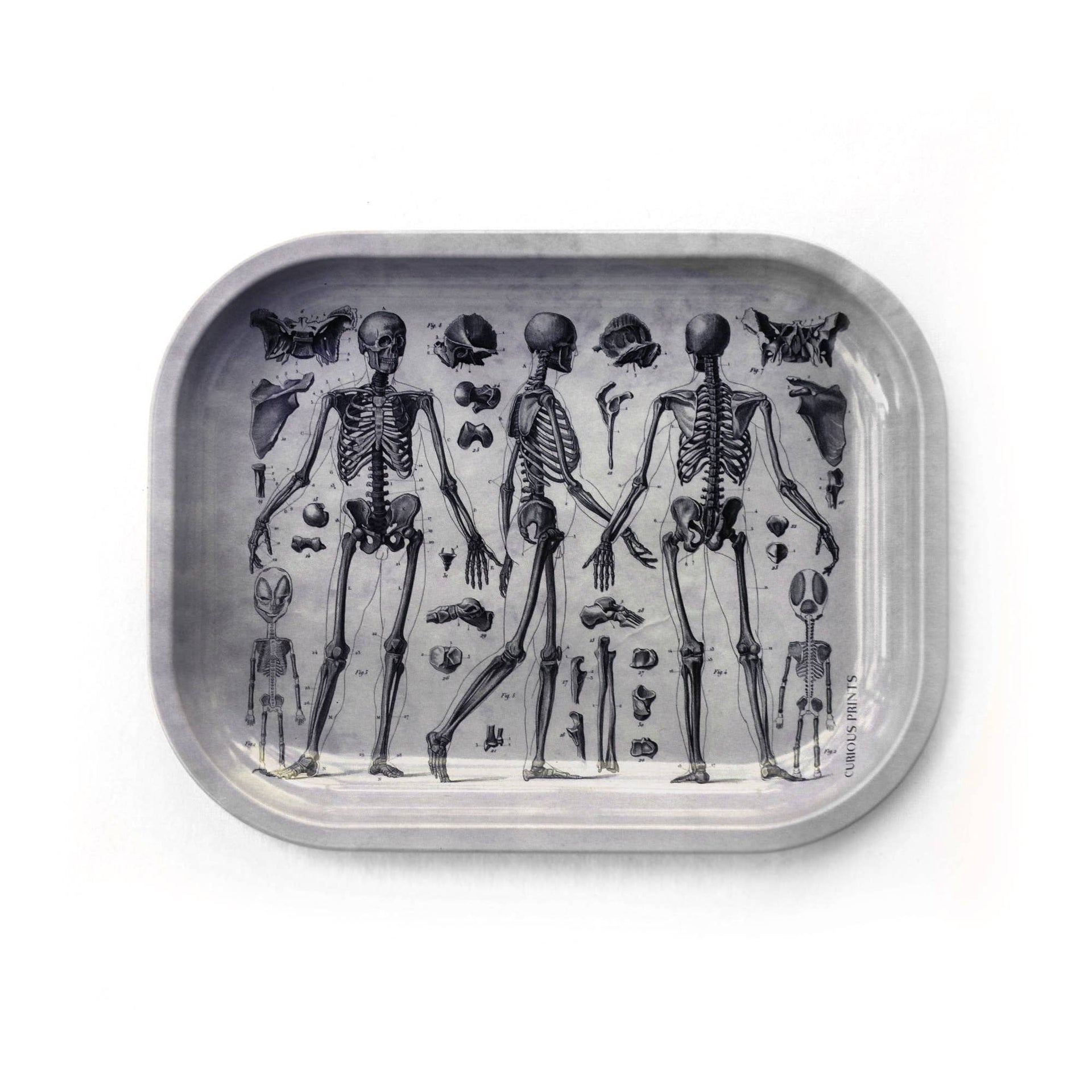 Metal Trinket Tray – Small Sturdy Decorative Tray with Skeleton Diagram