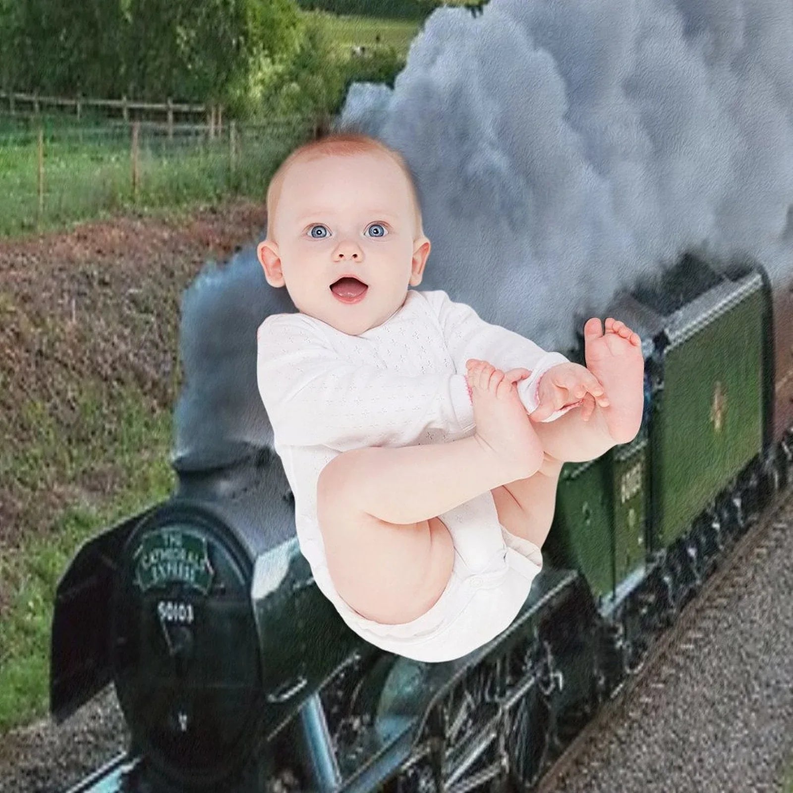 Flying Scotsman Throw Blanket