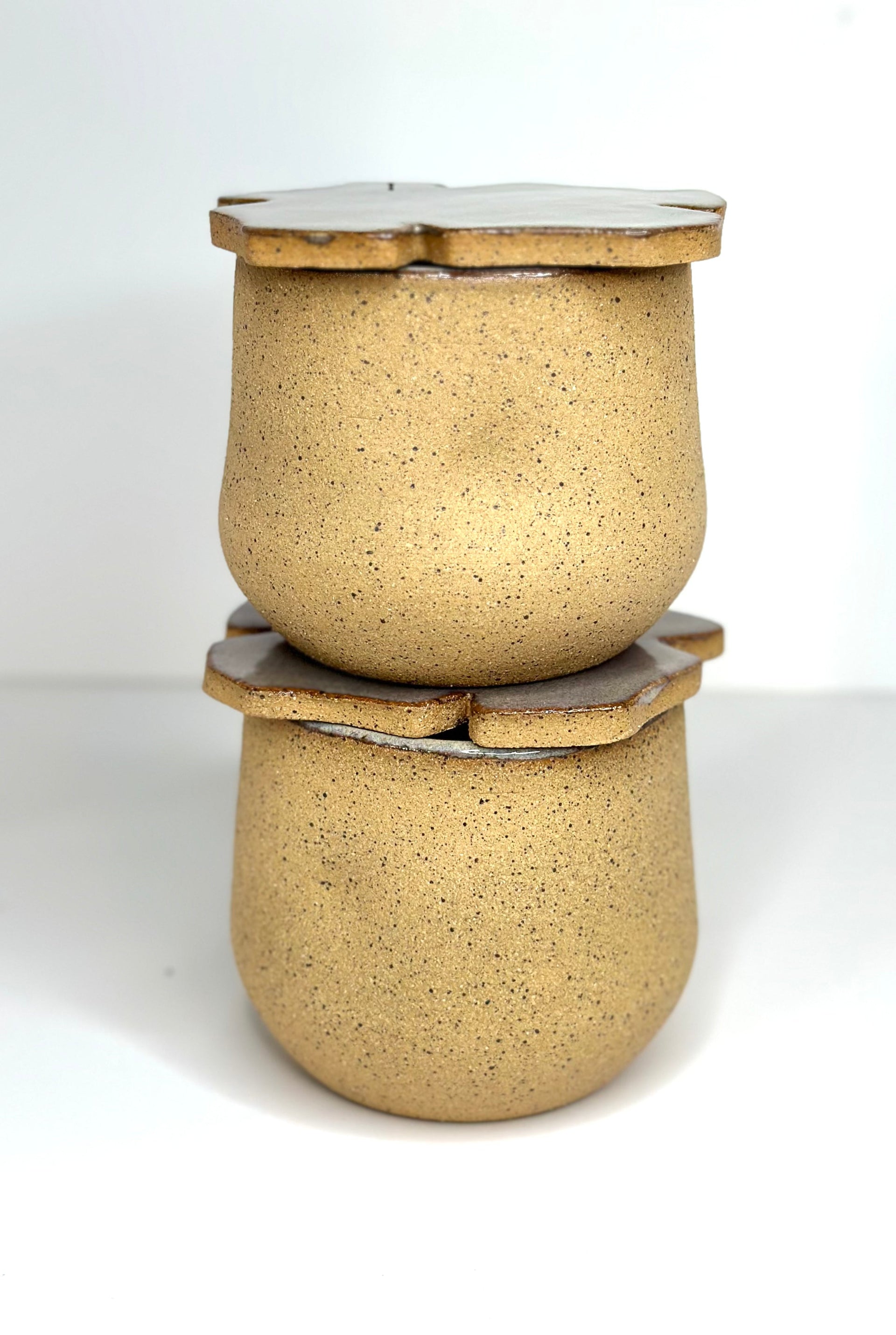 MUSHROOM CUPS SET (2 cups + 2 Flower coasters)