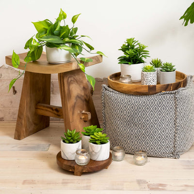 Artificial Trailing Ivy Pothos Plant in 5