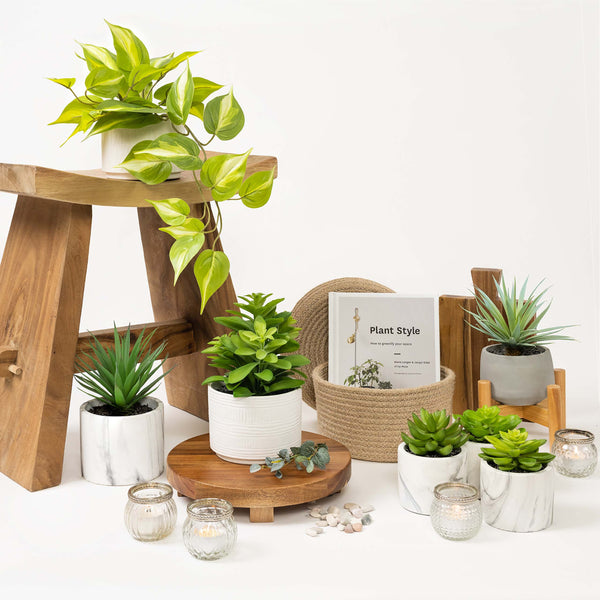 Artificial trailing ivy pothos plant in 5