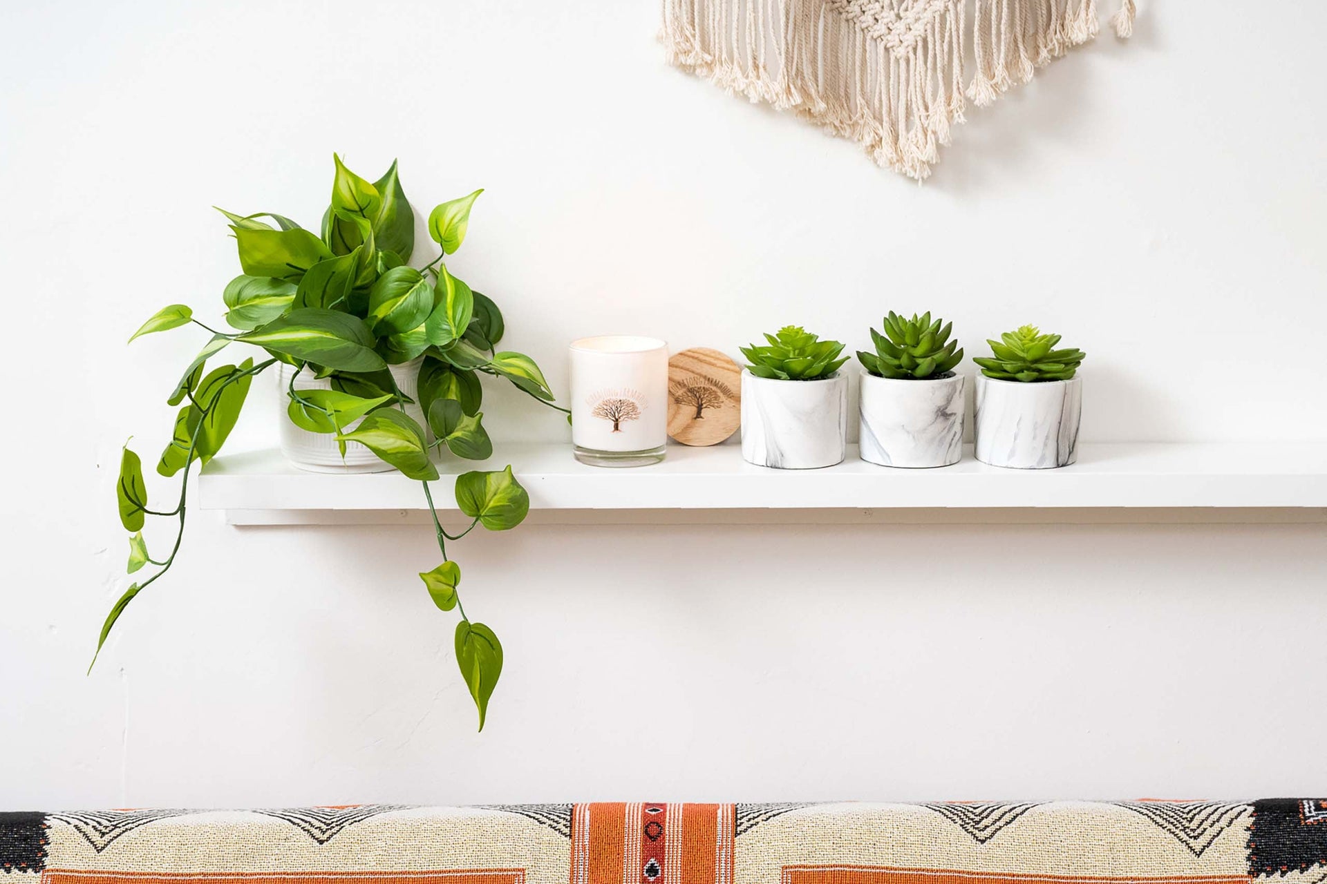 Artificial Trailing Ivy Pothos Plant in 5