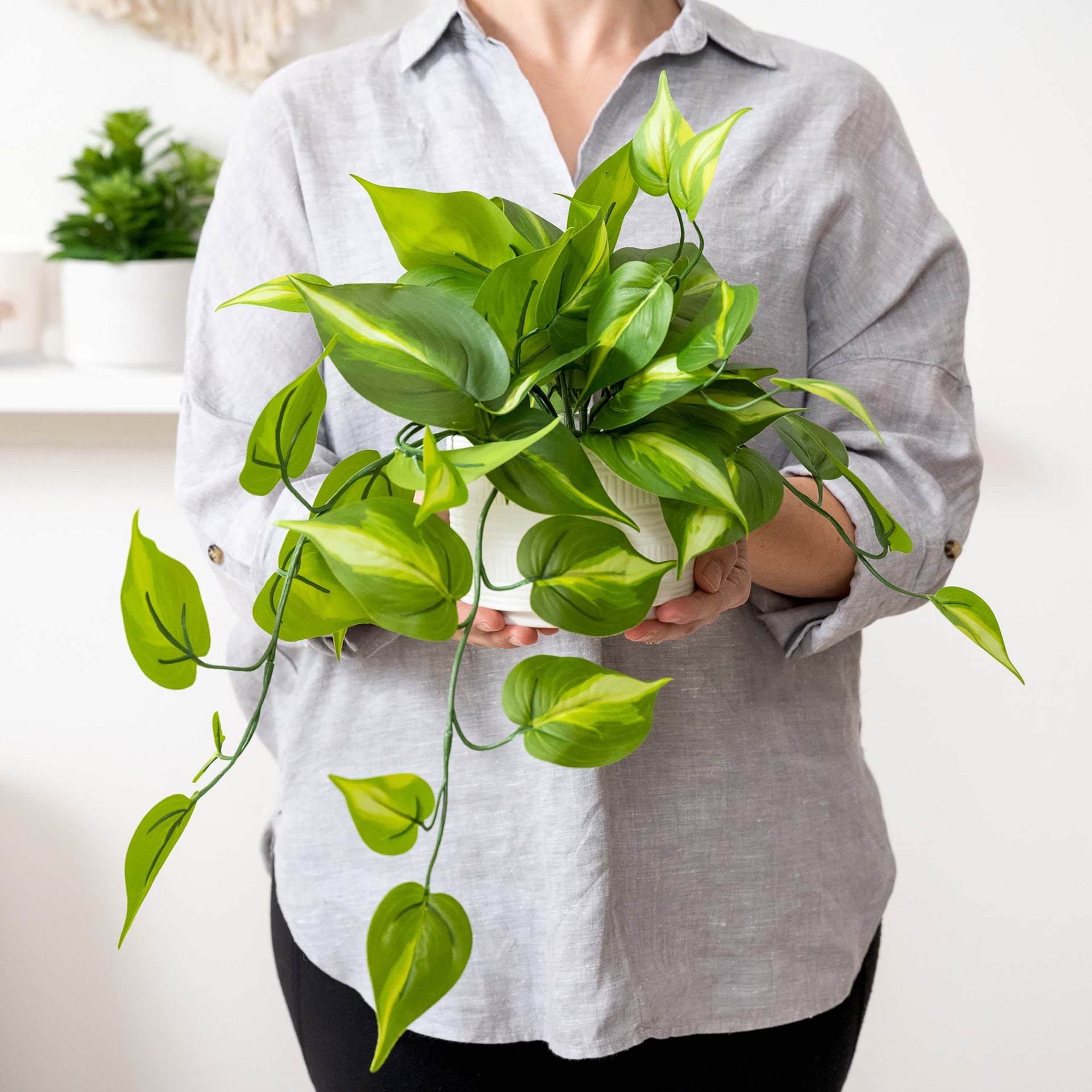 Artificial Trailing Ivy Pothos Plant in 5
