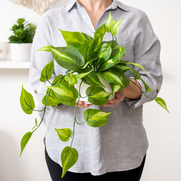 Artificial Trailing Ivy Pothos Plant in 5
