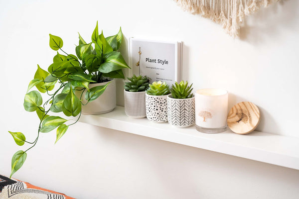 Artificial Trailing Ivy Pothos Plant in 5