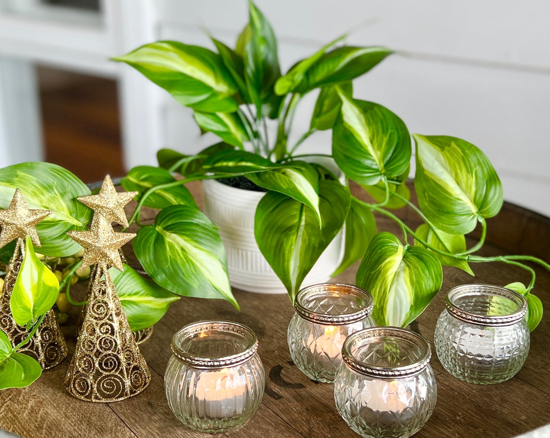 Artificial Trailing Ivy Pothos Plant in 5