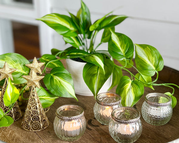 Artificial Trailing Ivy Pothos Plant in 5