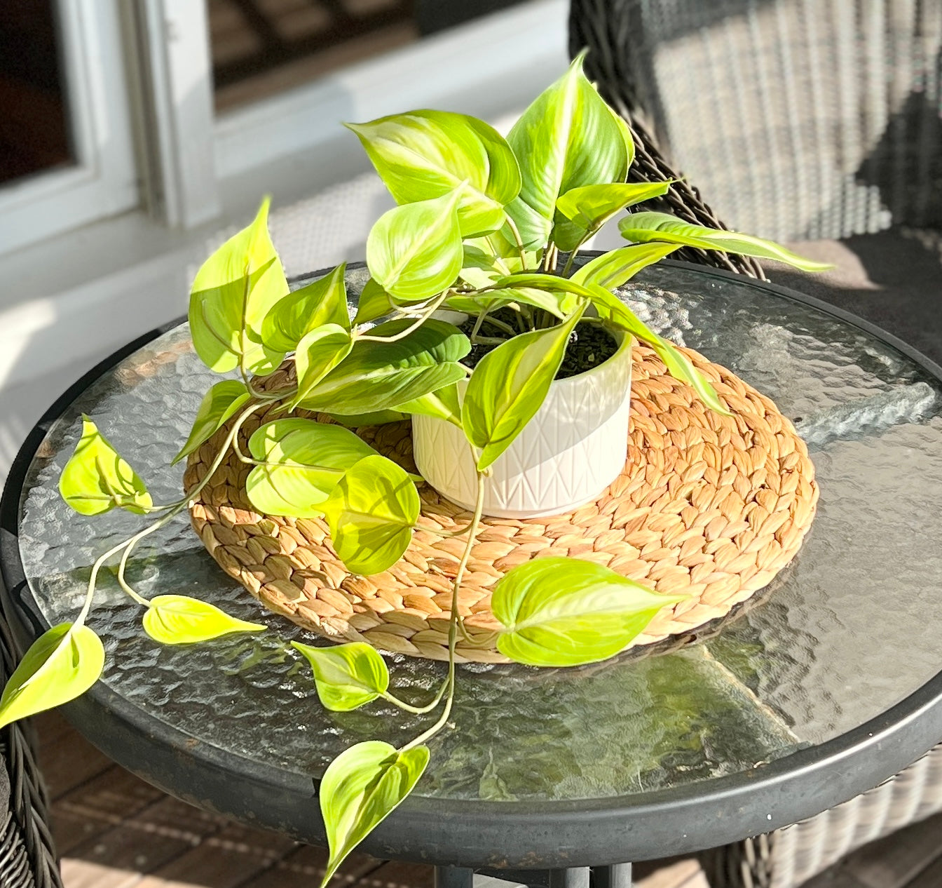 Artificial trailing ivy pothos plant in 5