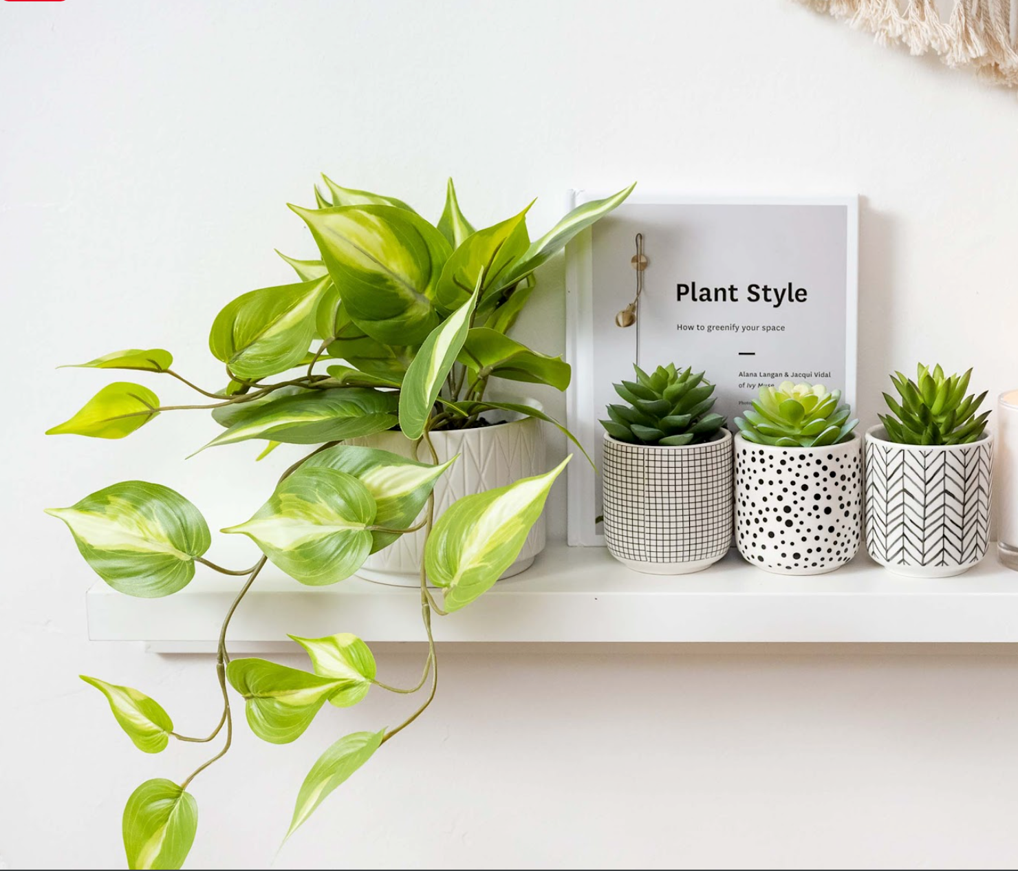 Artificial trailing ivy pothos plant in 5