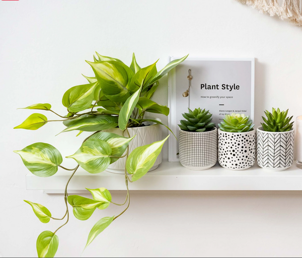 Artificial trailing ivy pothos plant in 5