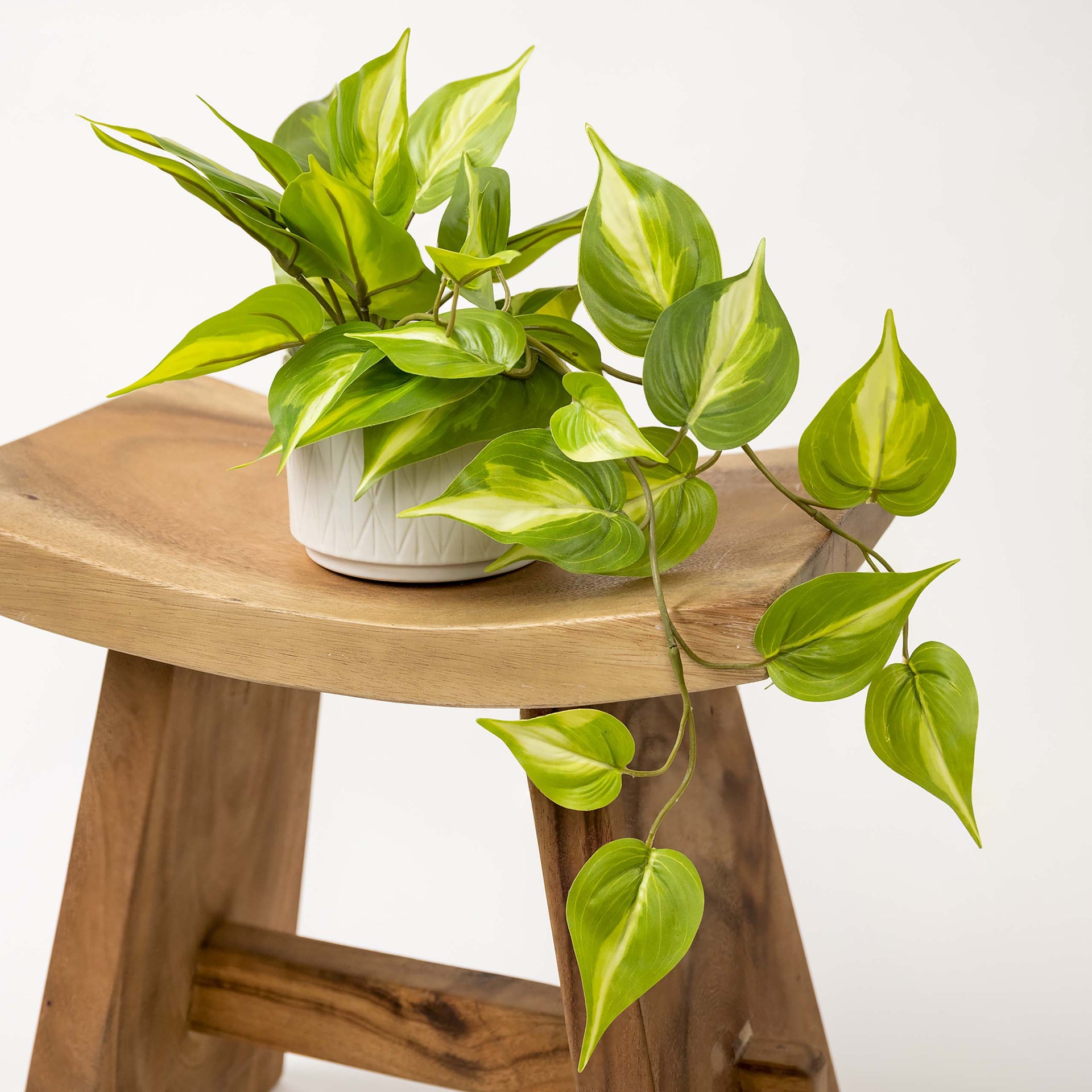 Artificial trailing ivy pothos plant in 5
