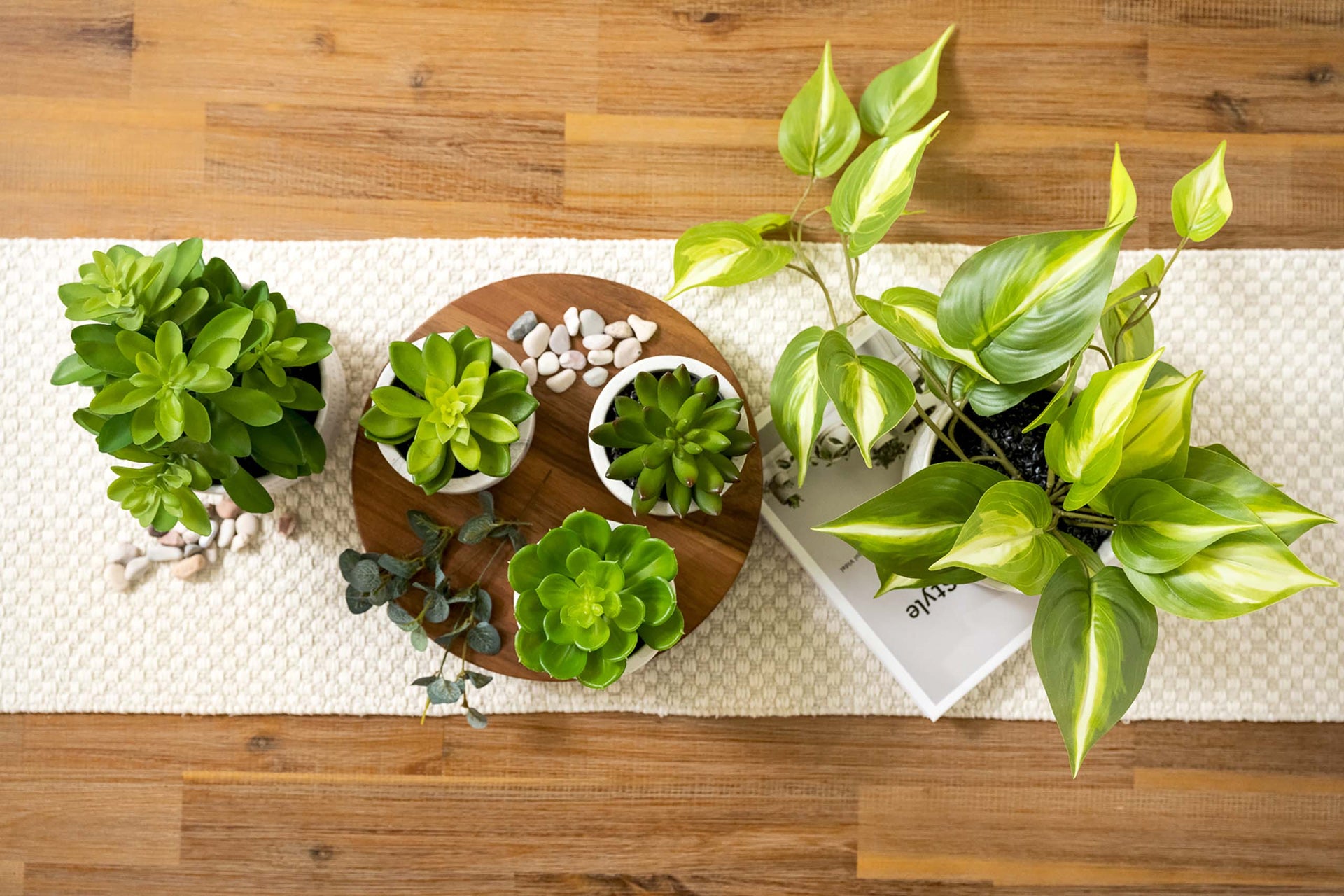 Artificial trailing ivy pothos plant in 5