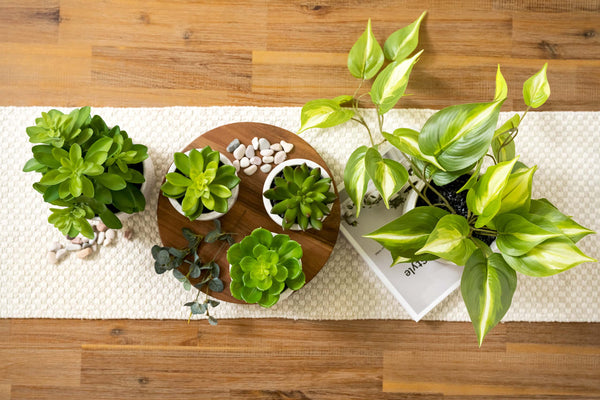 Artificial trailing ivy pothos plant in 5