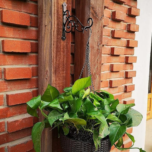 N+A Sunshine Iron Metal Hanging Planter Bracket, 2 Pack Wall Hooks for Hanging Birds Feeders, Latern, Wind Chimes, Coat, Decorative Indoor Outdoor (Black)