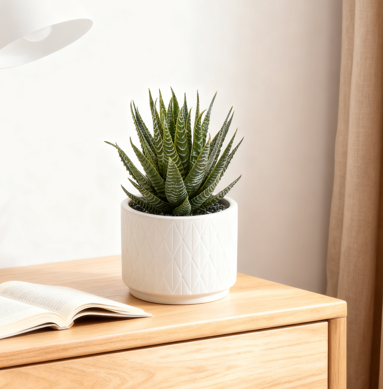 Artificial Dark Green Aloe Plant in Matte White Ceramic Pot  6