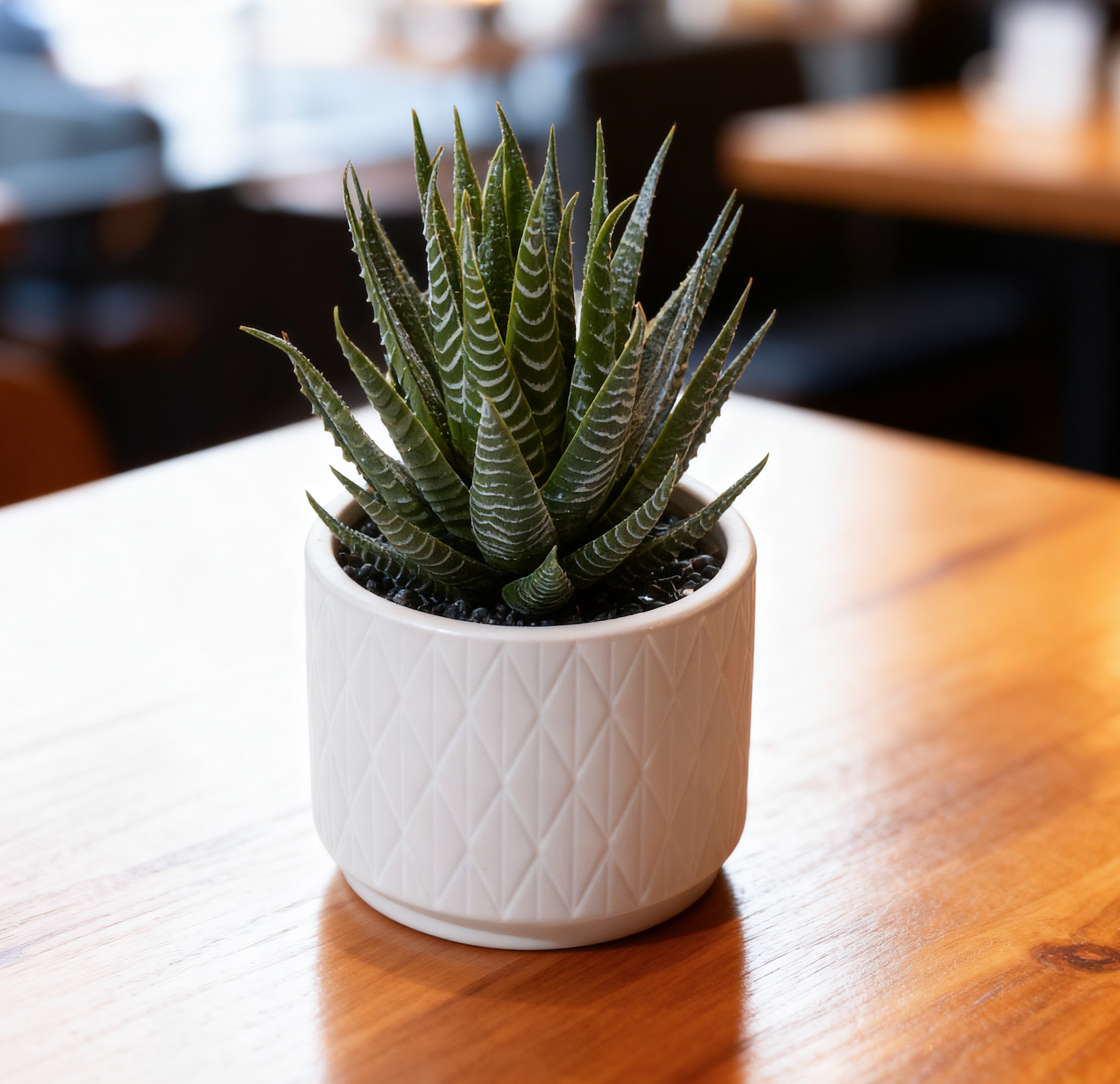 Artificial Dark Green Aloe Plant in Matte White Ceramic Pot  6