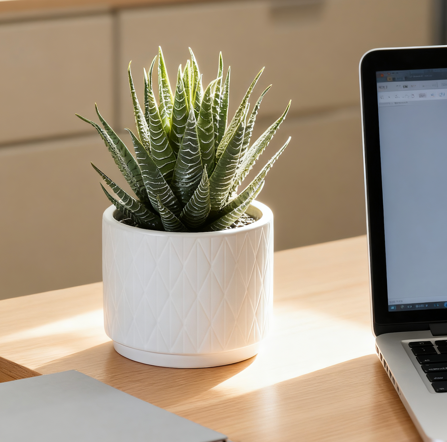 Artificial Dark Green Aloe Plant in Matte White Ceramic Pot  6