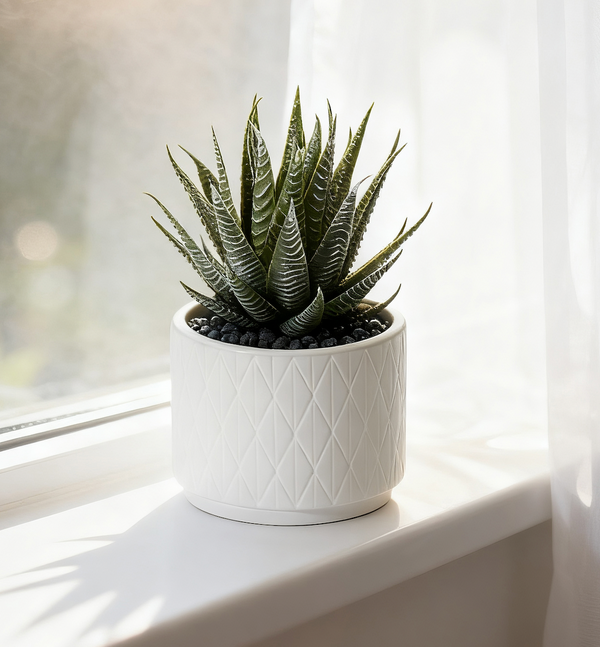 Artificial Dark Green Aloe Plant in Matte White Ceramic Pot  6