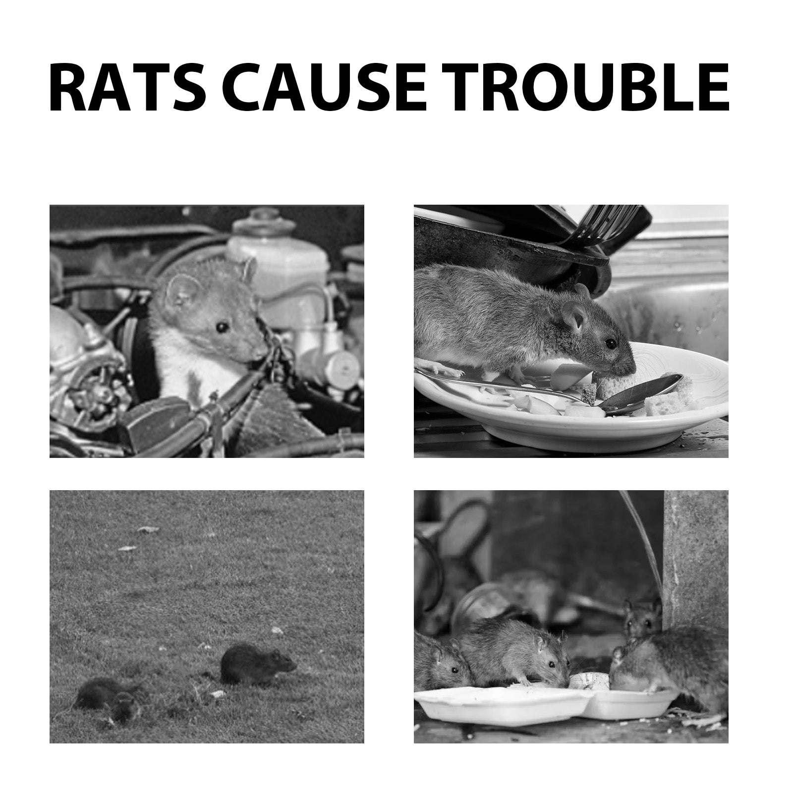 Mouse Repellent Spray, Household Gardening Rat-Repellent Rat-Repellent Solution Cockroach Repellent Mosquito Repellent Spray