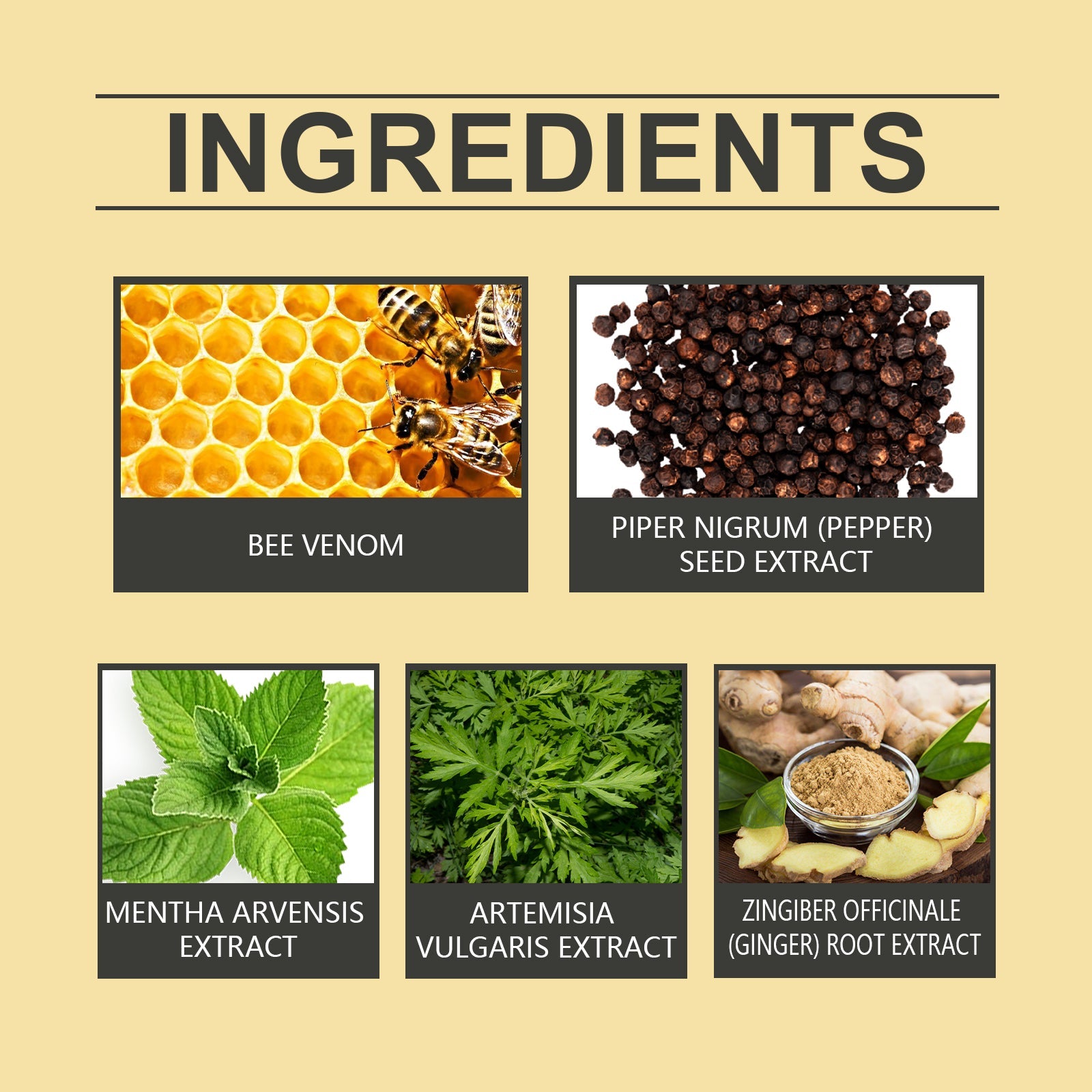 Bee Venom Lymphatic Drainage Weight Loss Patch, Lymphatic Slimming Paste Shaping Slimming Digestion Health Vitality Detumescence Care Body Shaping Considerate