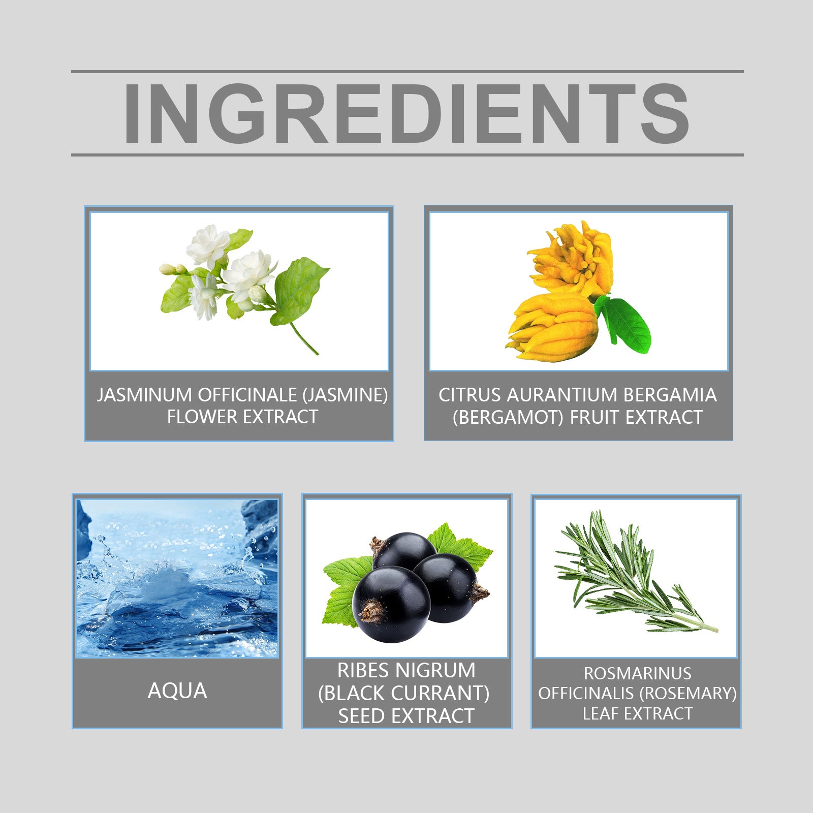 Men's Floral Pheromones Fragrance Lasting Fragrance Exudes Male Charm Niche Wooden Portable Ball Bearing Perfume