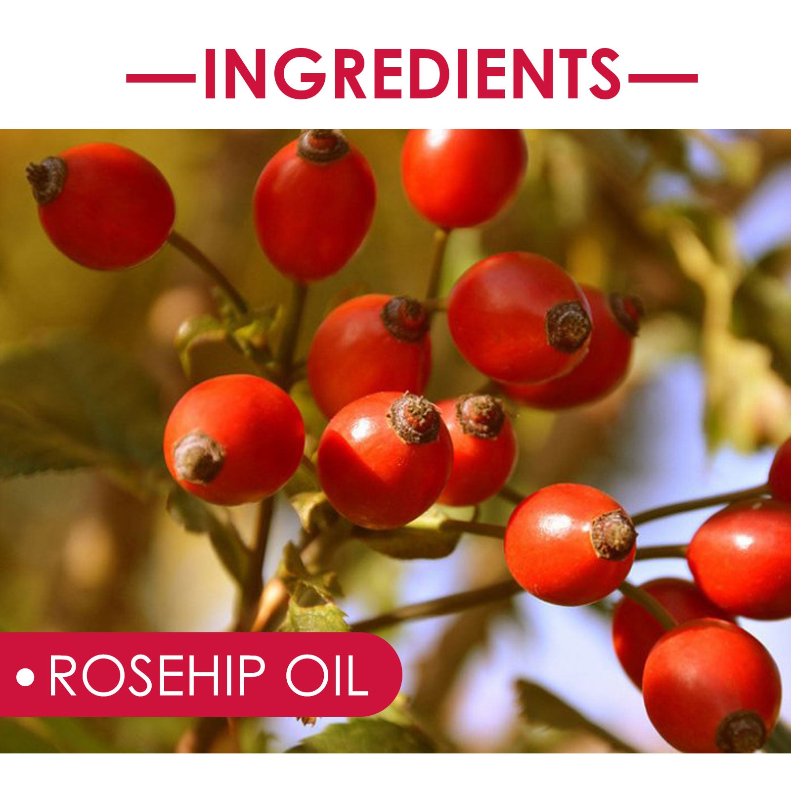 Rose Hip Facial Essential Oil Facial Body Moisturizing Skin care Supple Hair Care Massage Essential Oil