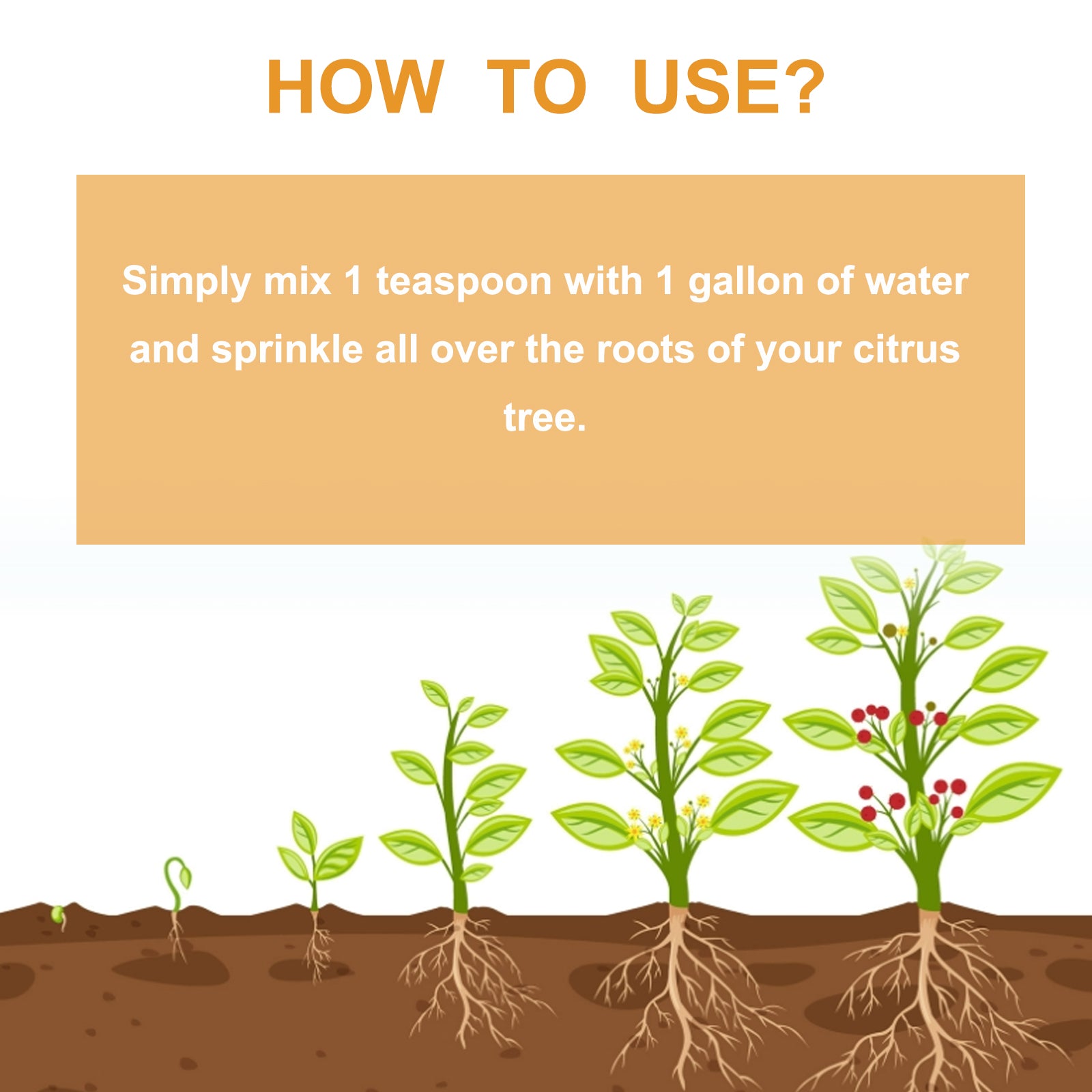 Premium 3-1-2 Liquid Fertilizer Concentrate For Citrus Trees, Orange Fruit Tree Plant Root Green Leaf Beauty Fruit Growth Nutrient Solution