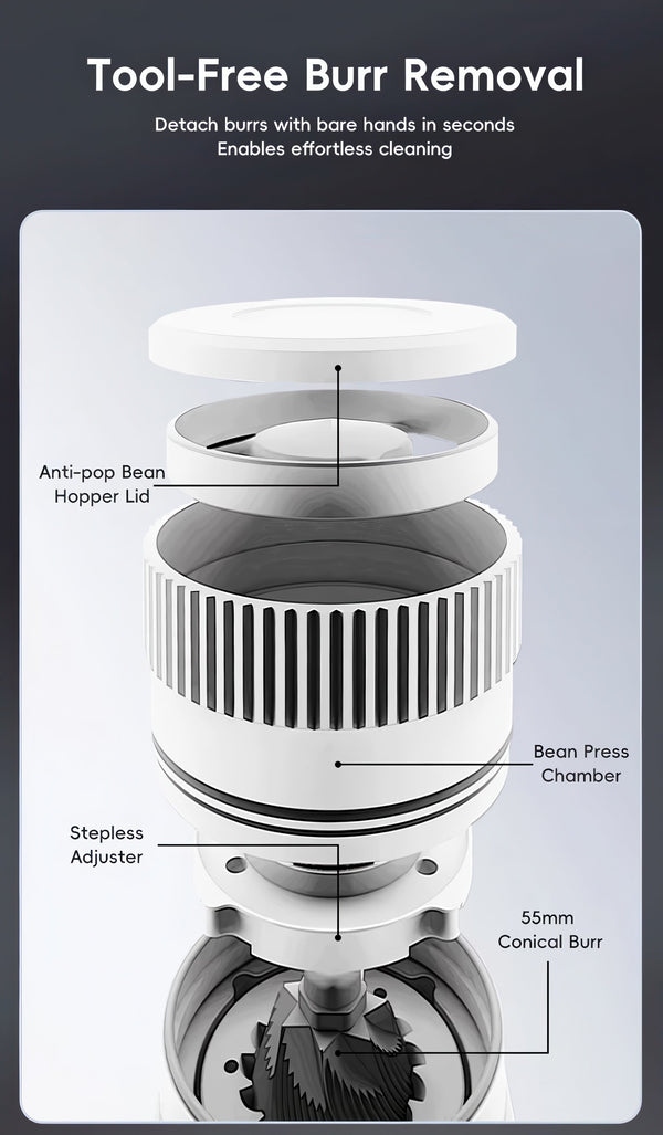 STARSEEKER E55Pro Electric Coffee Grinder — 55mm Titanium Burr