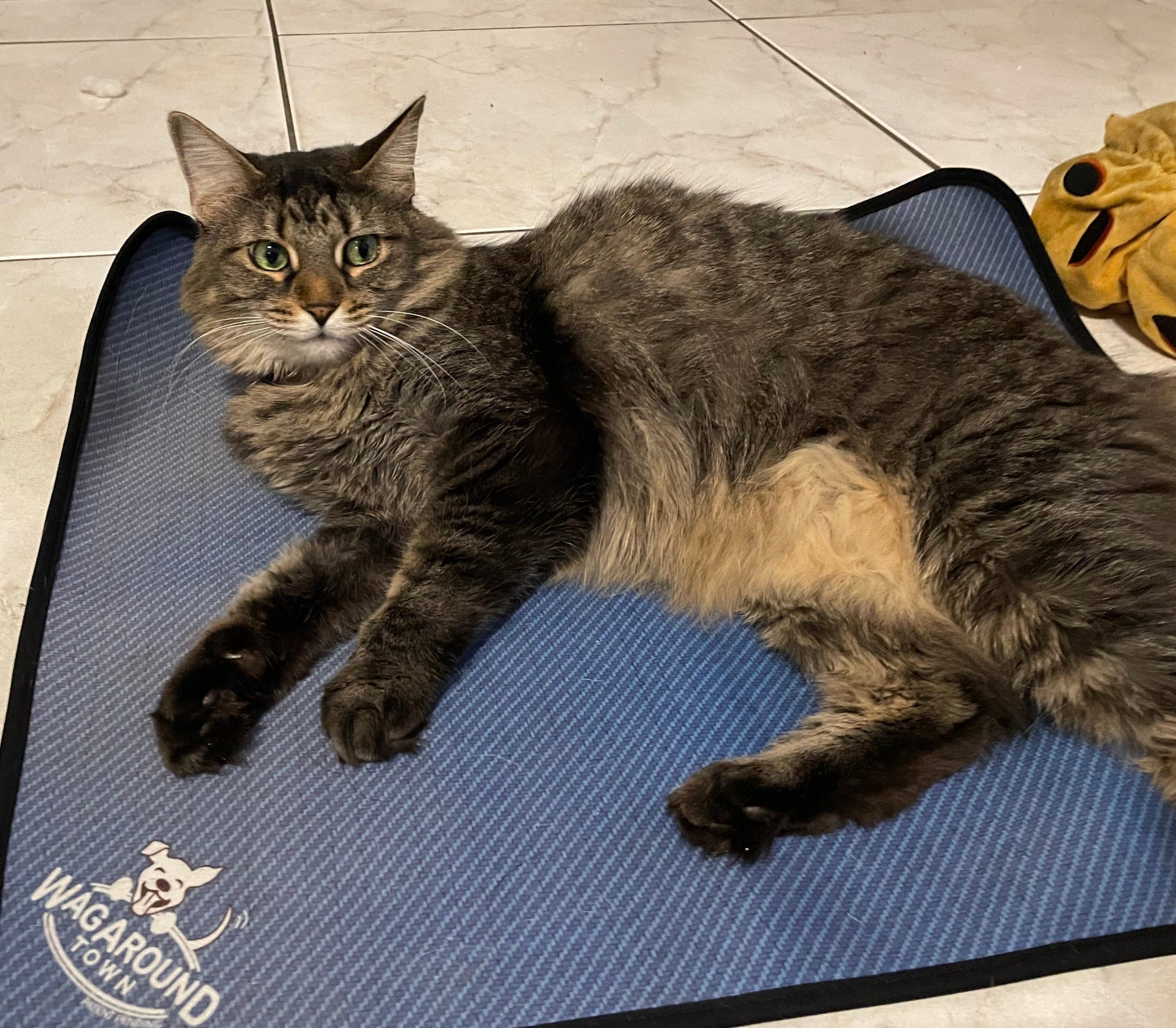 Travel Mat- Blue Carbon Bone
