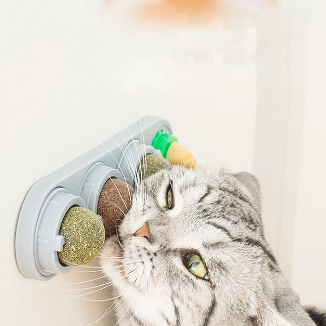 Cat mint ball spinning ball toy cat snacks lollipops self fun toys lots of fun