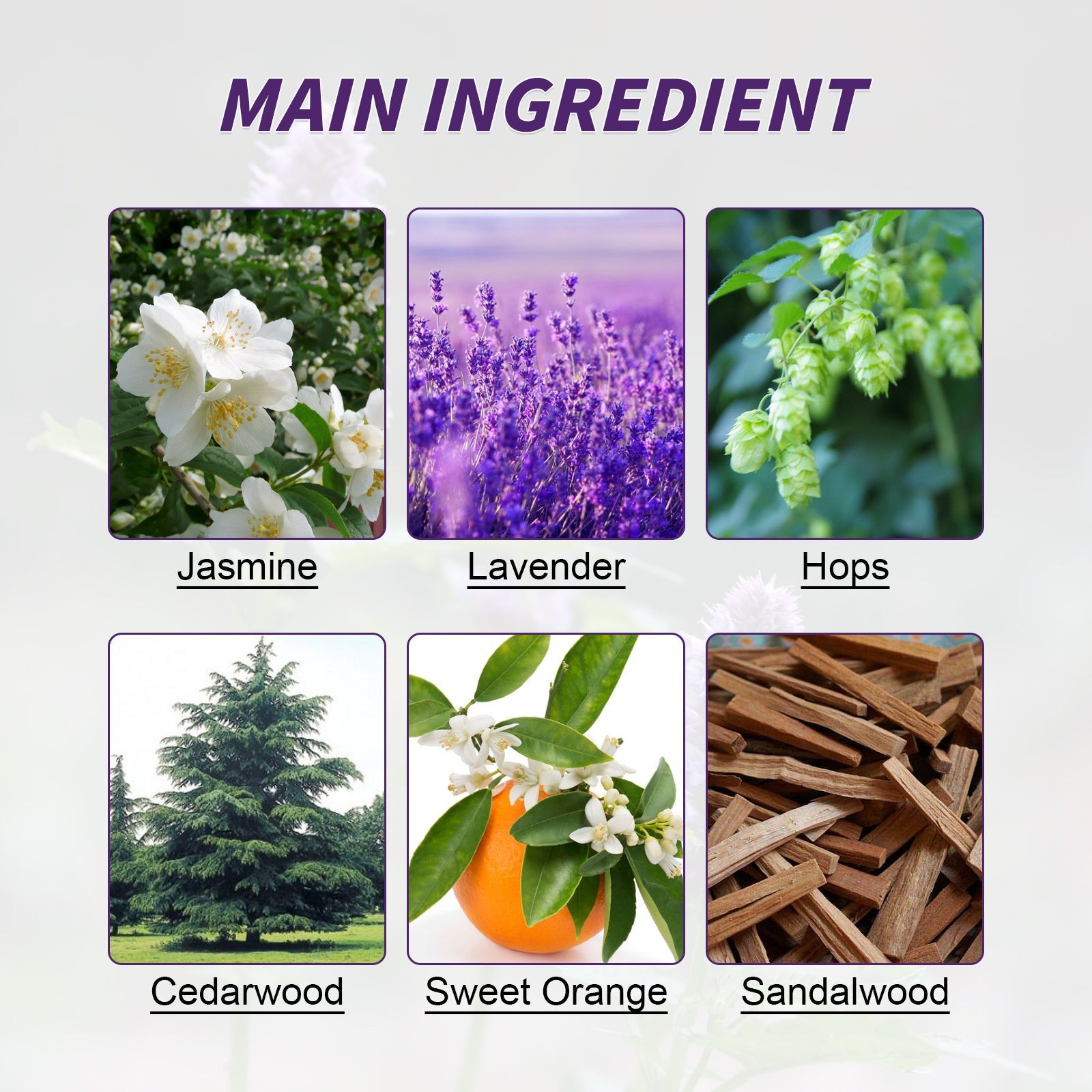 Herbal Sleep Patch, Care For Sleep, Relax And Relieve Body Pressure Body Health Care Point Patch