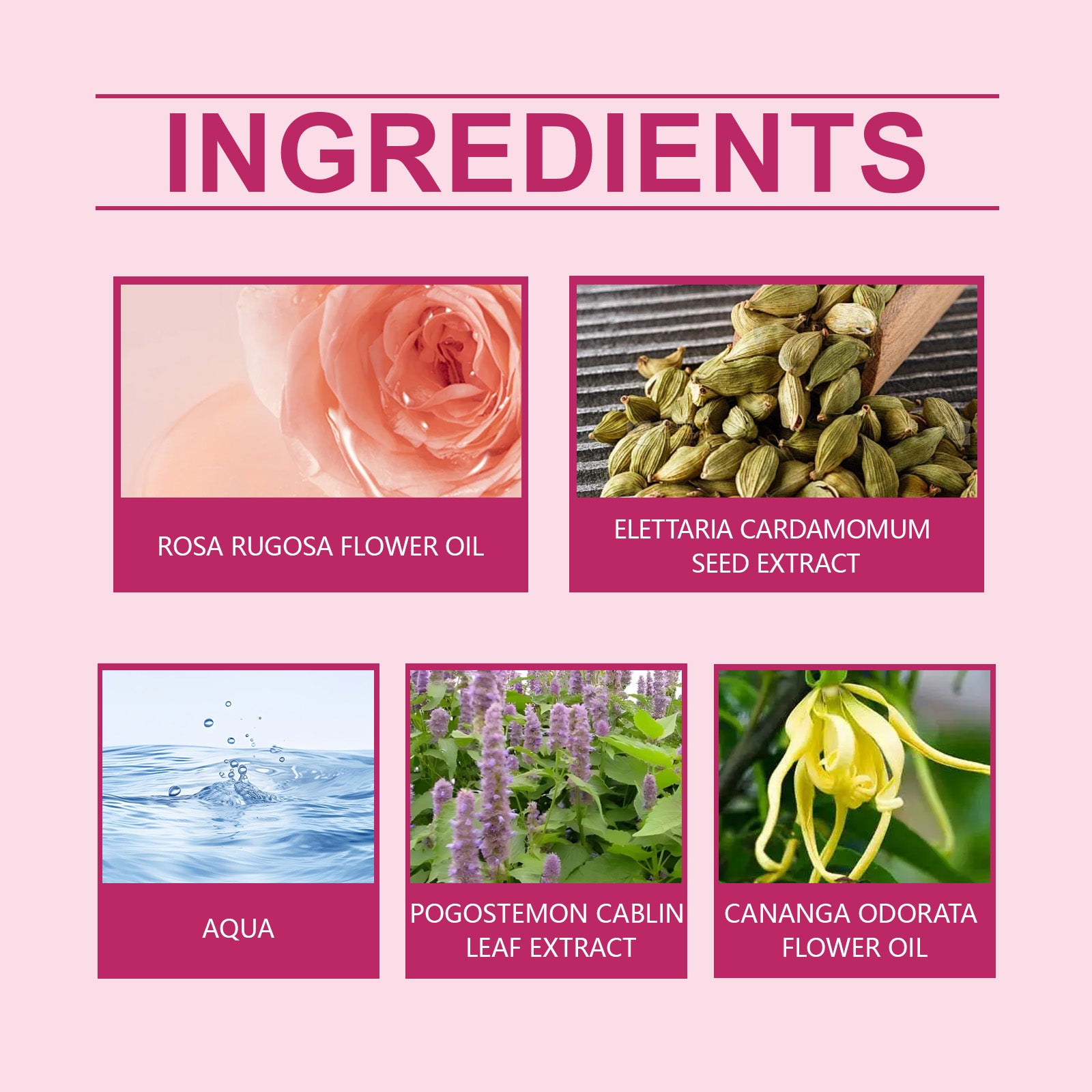 Rose Women's Ball Fragrance, Fresh Light Fragrance Exudes Charm Keep Fragrance Portable Couple Dating Perfume