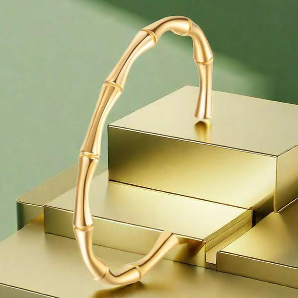 Stainless steel titanium steel bracelet for women non fading electroplated buckle jewelry for women