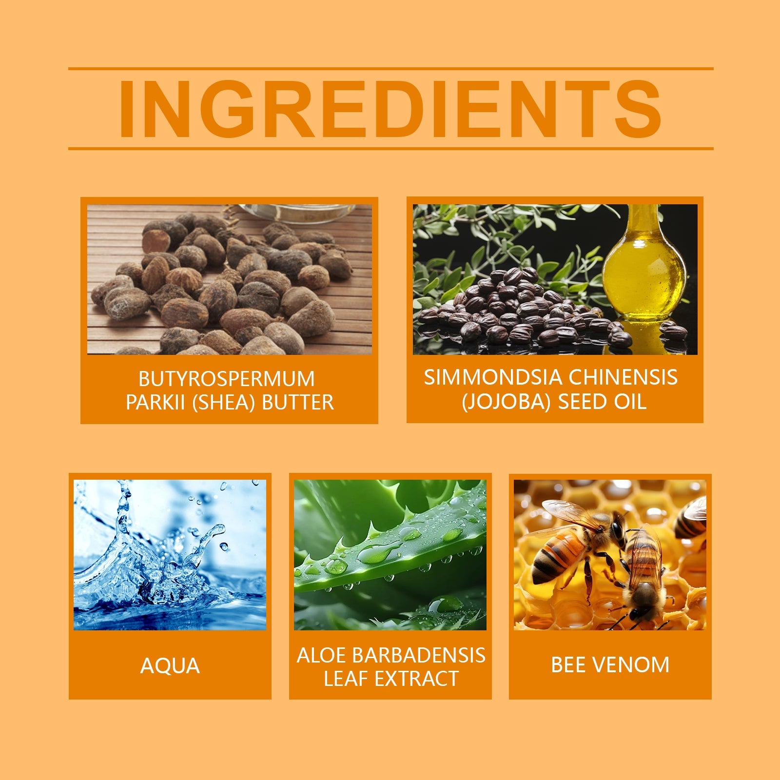 Bee Venom Leg Treatment Spray, Daily Relief Of Leg Curvature Discomfort Leg Treatment Spray