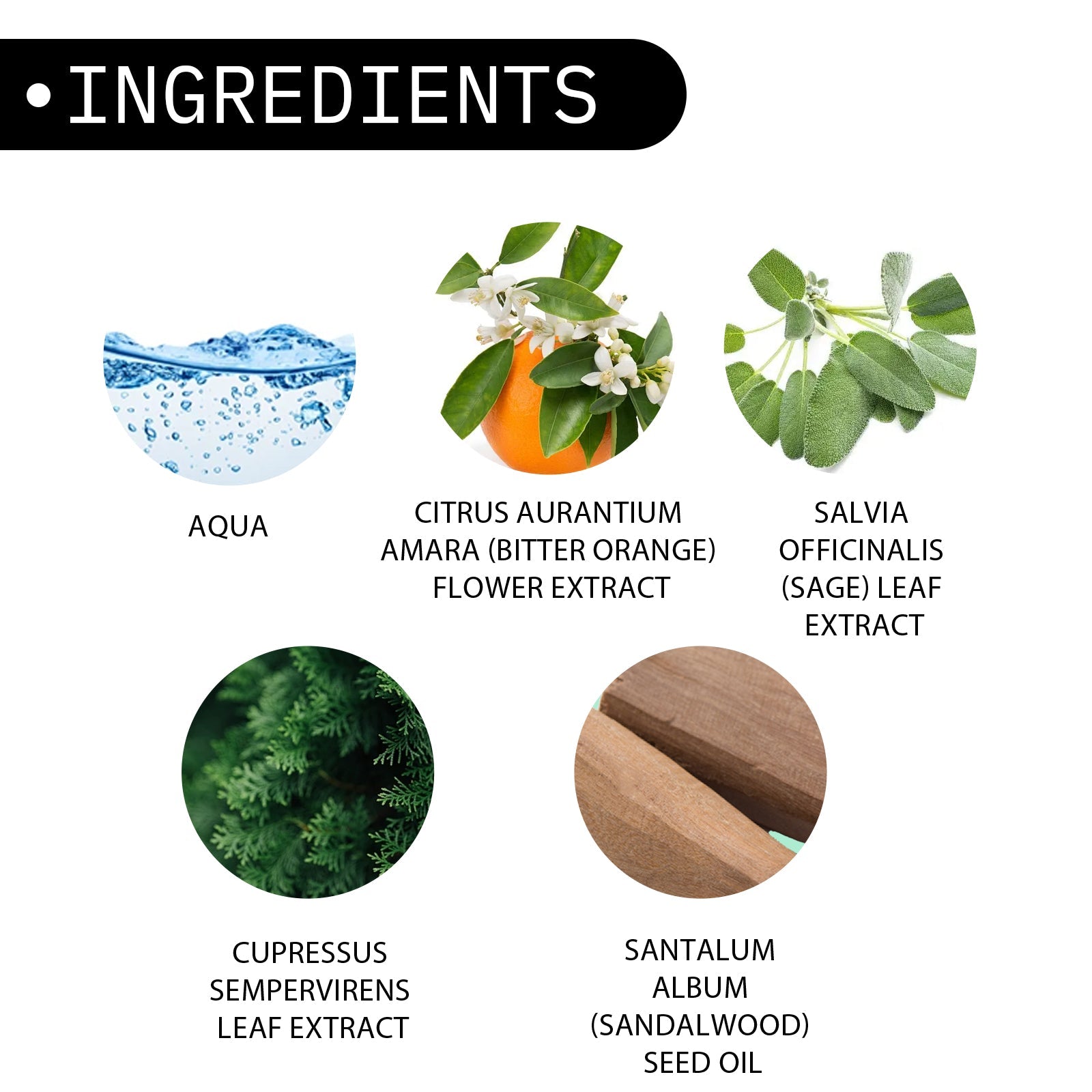 Men's Perfume, Body Fragrance Light Fragrance Natural Dating Atmosphere Lasting Fragrance Exudes Charm Niche Perfume