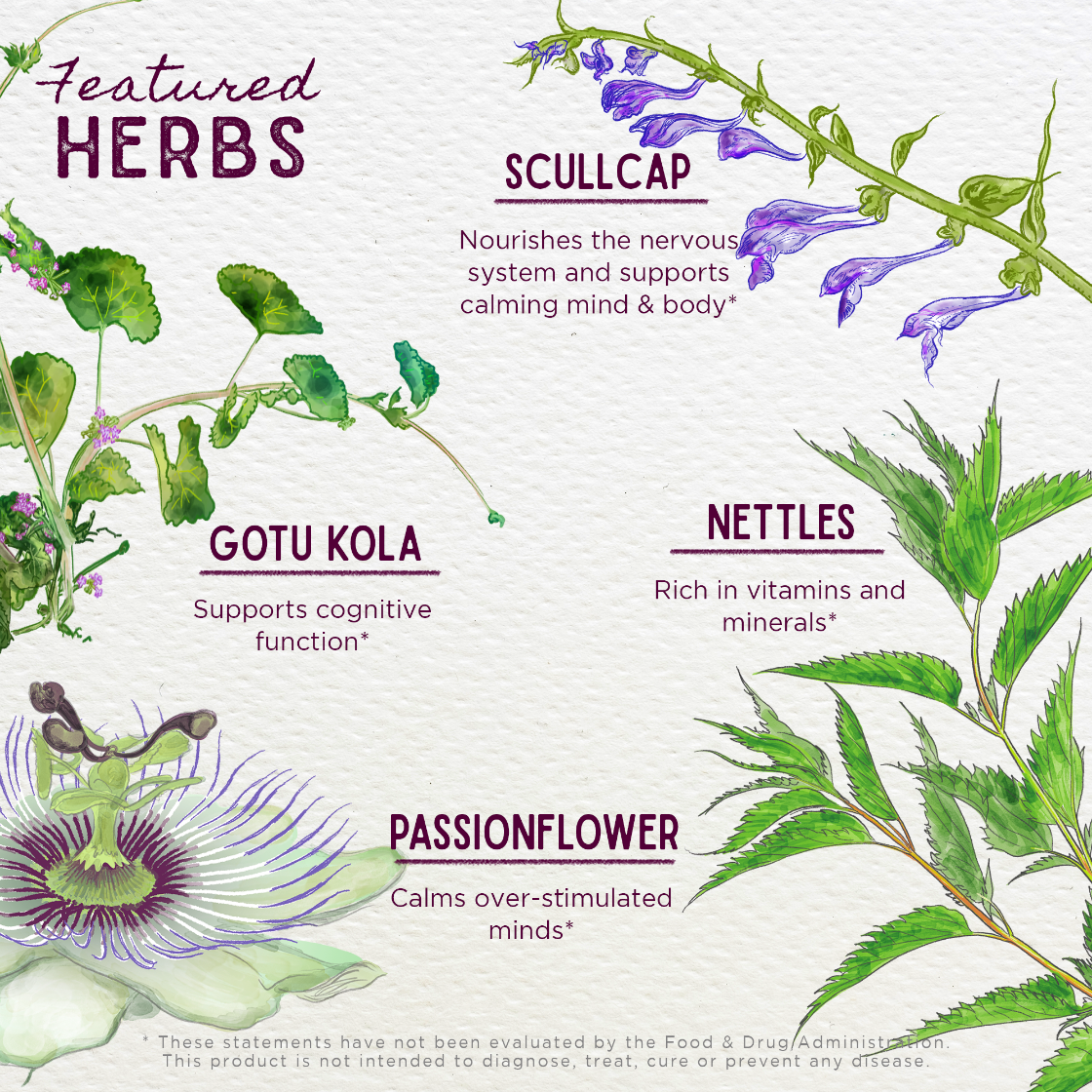 Illustration of herbs with their names and benefits on a white background