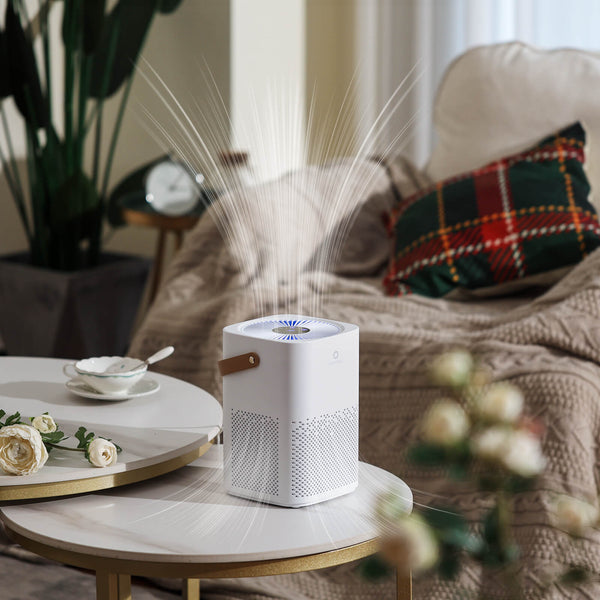 Day Dawning ADH70 Desktop Air Purifier Airthereal