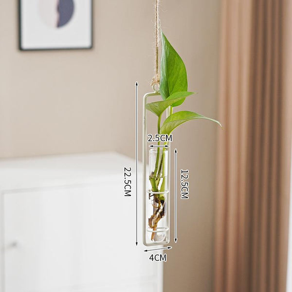 Scandinavian-Style Glass Hydroponic Vase for Living Room with Creative Hanging Door Decor and Wall Ivy Plant Water Cultivation Transparent Pot