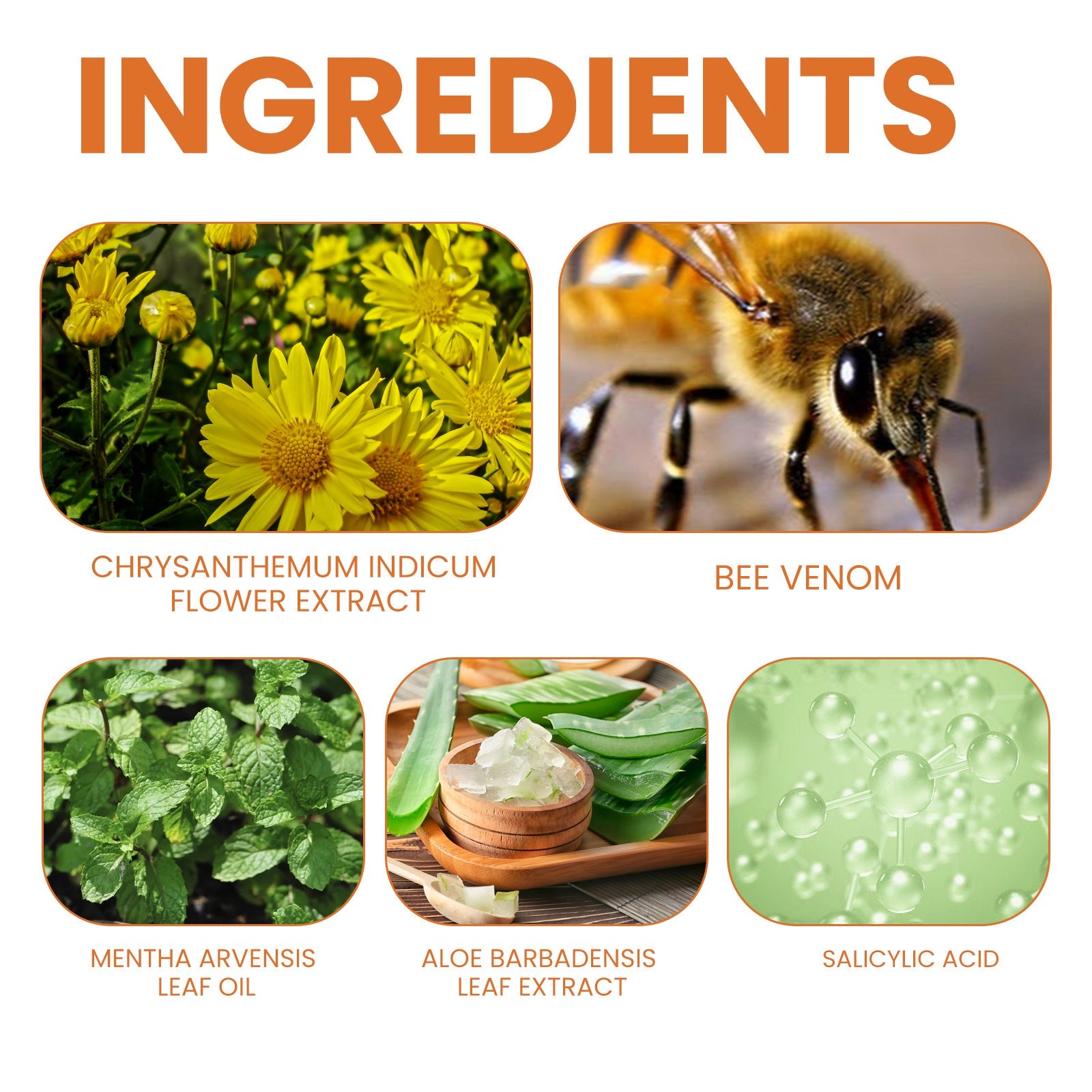 Bee-Poison Cowhide Moss Cream, Which Relieves Redness And Itchiness Of Skin