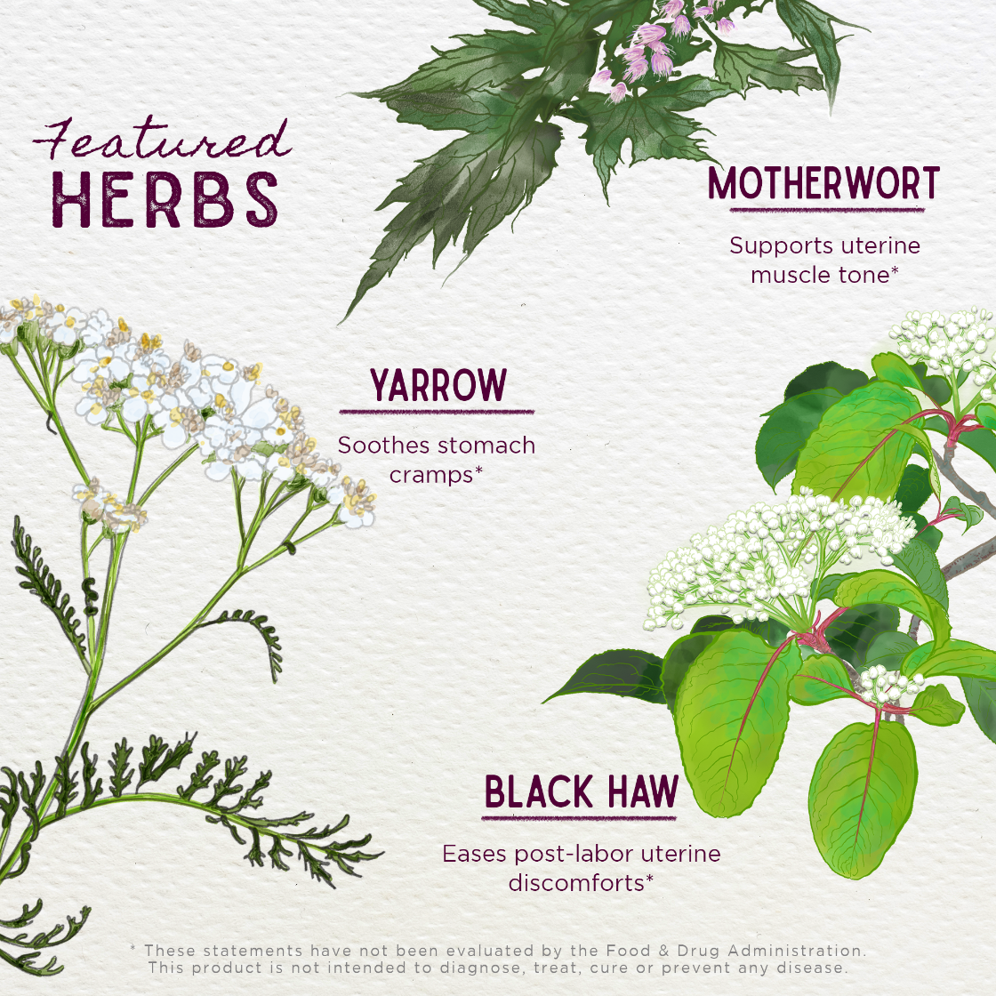 Illustrations of herbs with their names and benefits on a light background