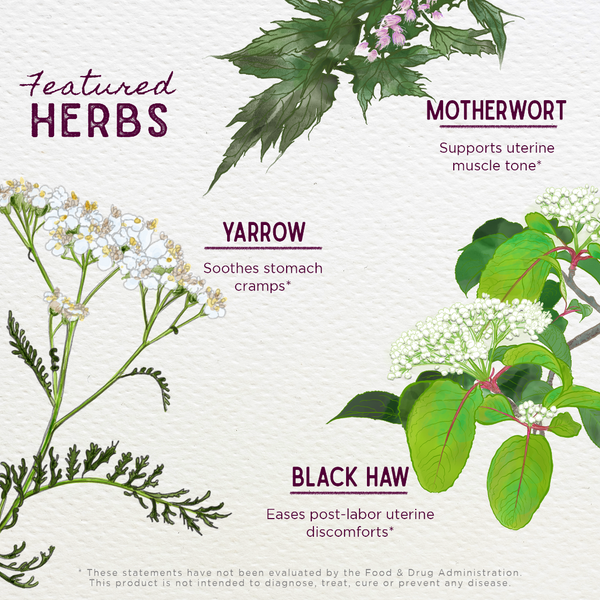 Illustrations of herbs with their names and benefits on a light background
