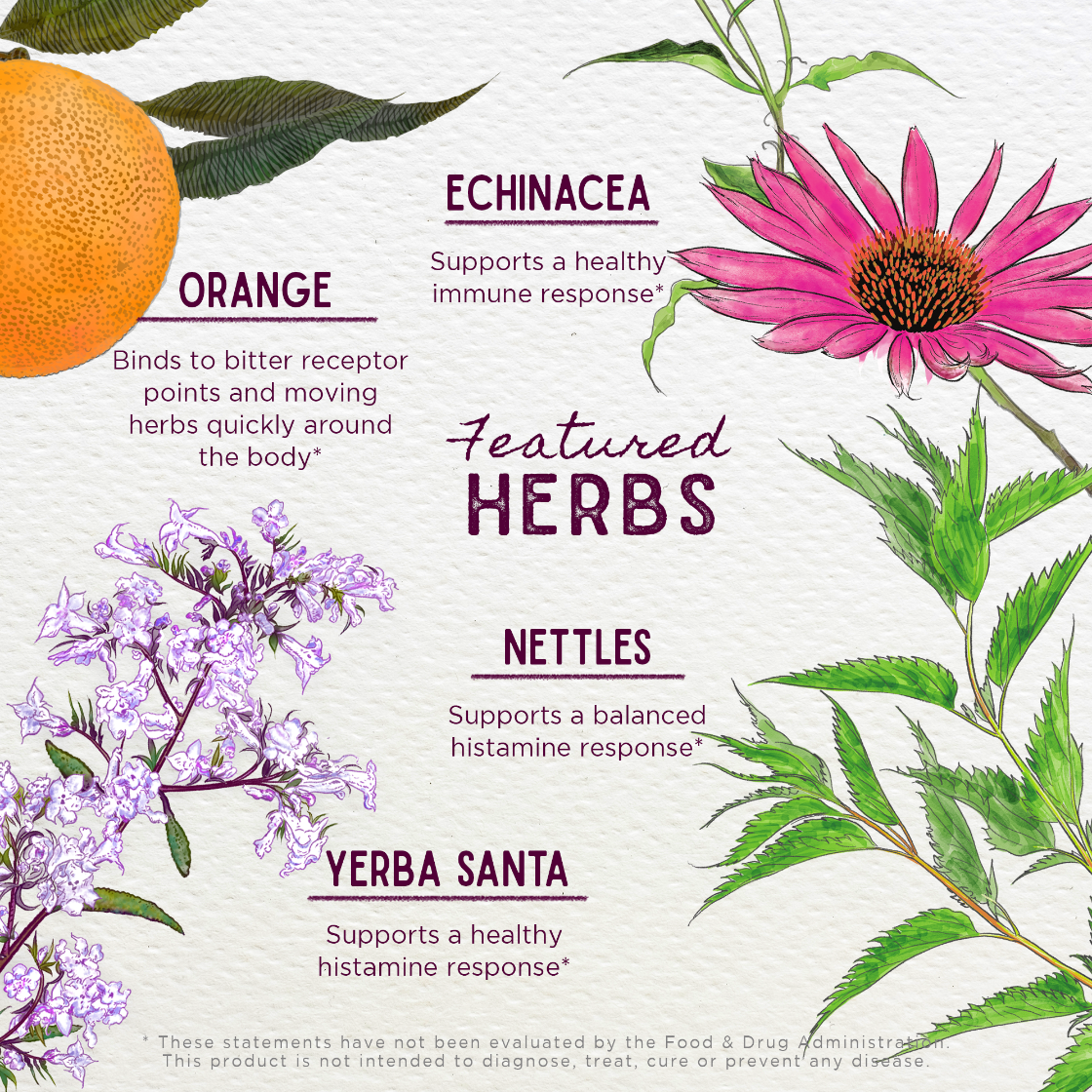 Illustration of herbs with their names and benefits on a white background