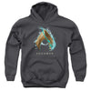 Aquaman Movie Water Shield Kids Youth Hoodie Charcoal Officially Licensed - Small / Charcoal
