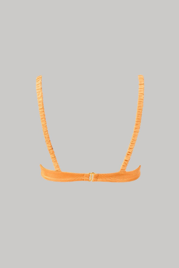 Ariel Underwire Bikini Top in Sunset