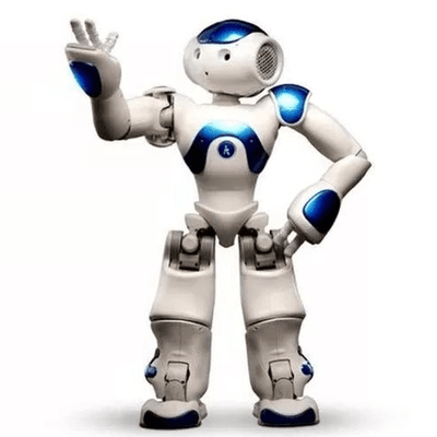 Advanced Humanoid AI Companion Robot for Adults with Multi-Sensory Interaction and Global Communication