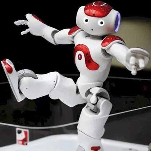 Advanced Humanoid AI Companion Robot for Adults with Multi-Sensory Interaction and Global Communication