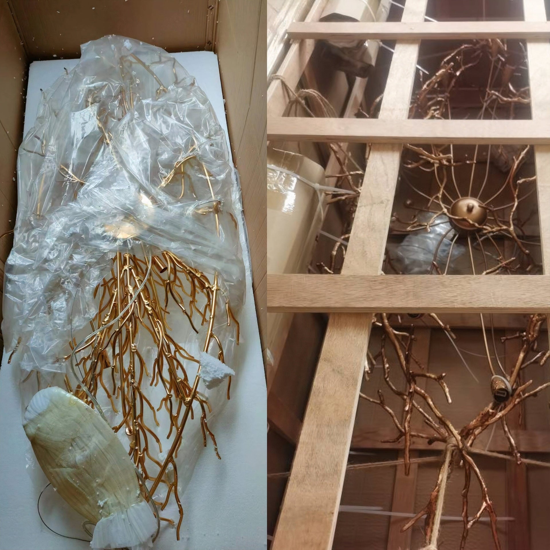 Albero Collection Crystal Chandelier